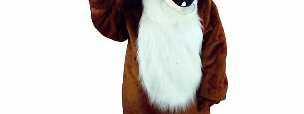 The Ultimate Guide to Buying Second-Hand Tiger Mascot Costumes