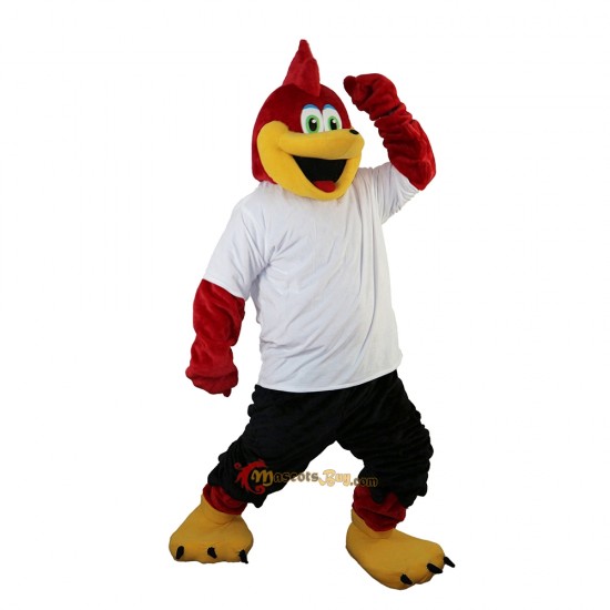 Red Sport Eagle Mascot Costume Cosplay