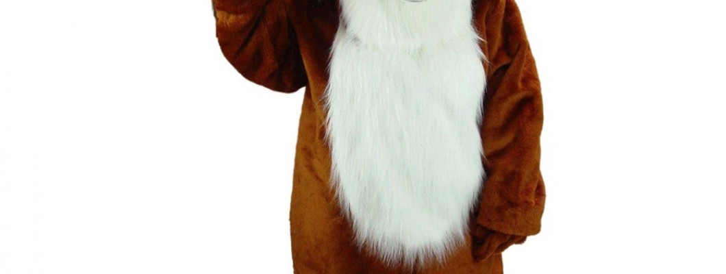 The Best Chicken Mascot Costumes for Fundraisers and Charity Events