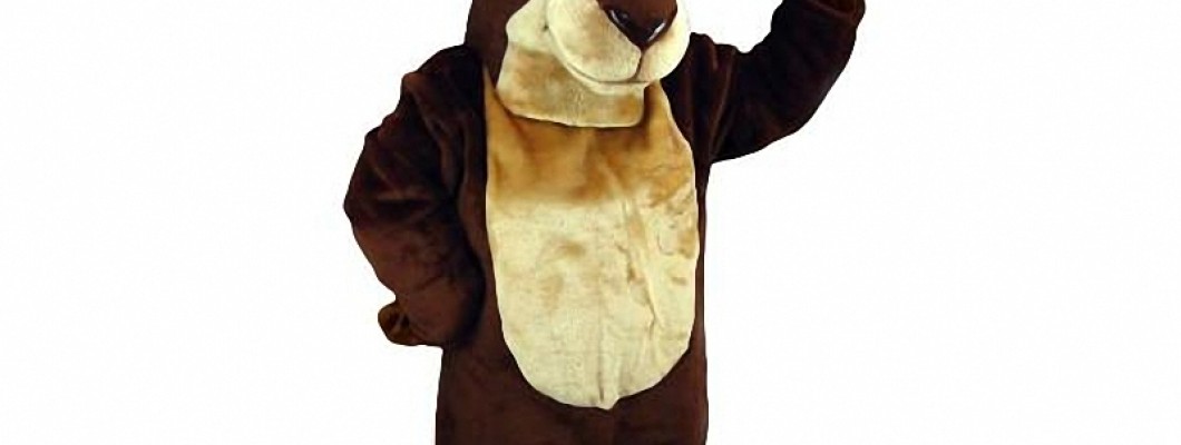 Why Every Business Should Have a Duck Mascot Costume