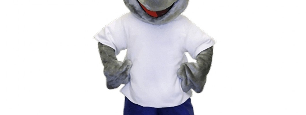 Bear Mascot Costume Etiquette: Respecting the Suit and the Performer