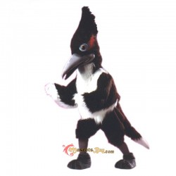 Roadrunner Mascot Costume Cosplay