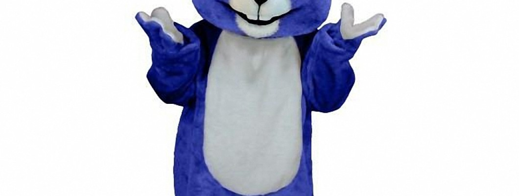 Cheap Mascot Costumes for Themed Events