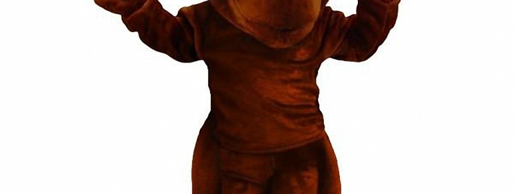 Where to Buy Dog Mascot Costumes Near Me