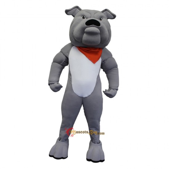 School Bulldog Mascot Costume Cosplay
