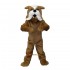 School Bulldog Mascot Costume Cosplay