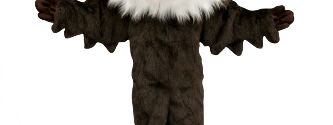 The Pros and Cons of DIY Chicken Mascot Costumes