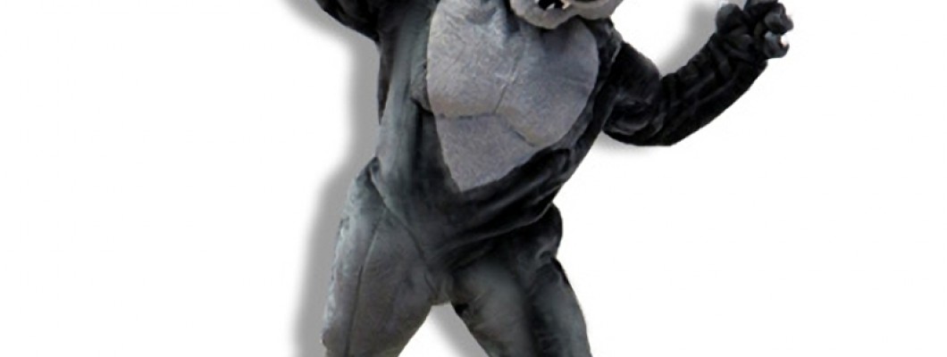 Affordable Mascot Costumes for School Events
