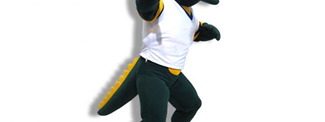 Top 10 DIY Character Mascot Costumes for Events