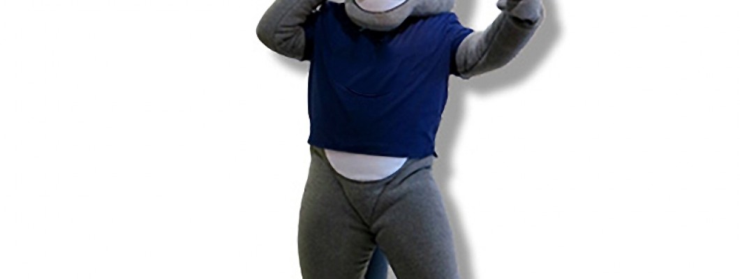 Where to Buy Affordable Mascot Costumes Online