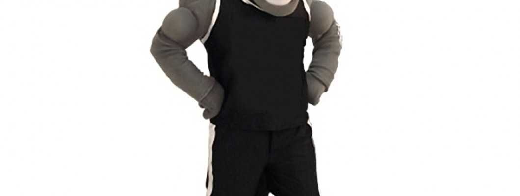 Eagle mascot costumes: The Perfect Choice for Sports Events