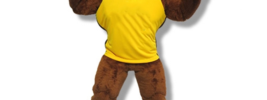 Top 10 Lion Mascot Costume Ideas for Events and Festivals