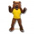 School Grizzly Bear Mascot Costume Cosplay