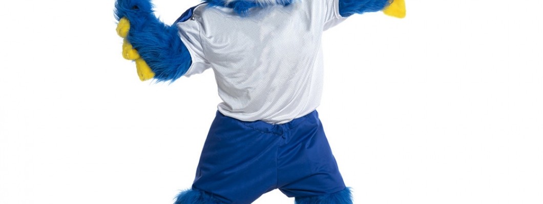 Character Mascot Costumes: The Ultimate Fan Experience