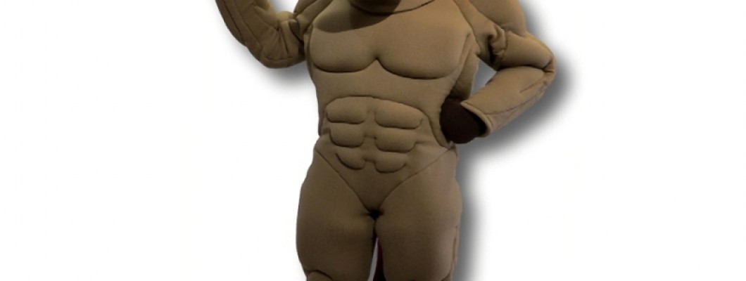 Top 10 Bird Mascot Costumes for Sports Events