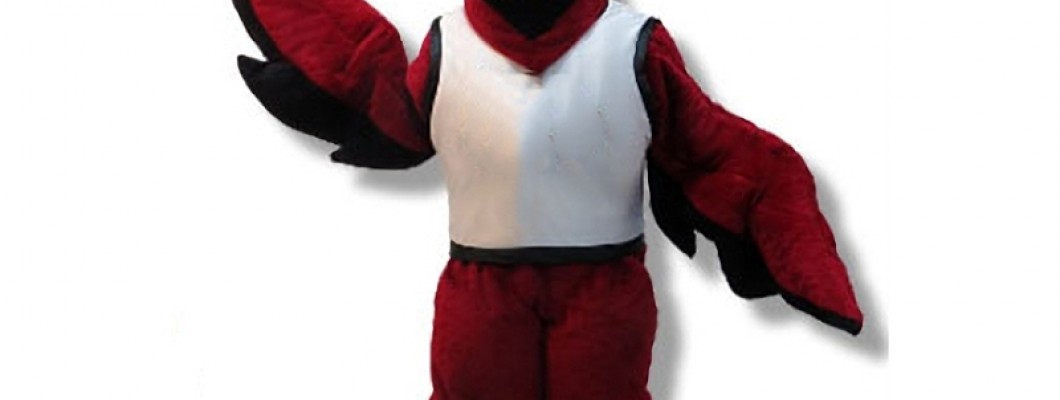 Celebrating Diversity: Inclusive Dragon Mascot Costume Designs for All Ages and Abilities