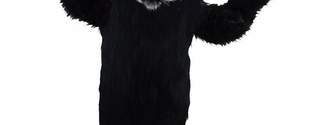 Duck Mascot Costumes in Movies and TV Shows: A Comprehensive List