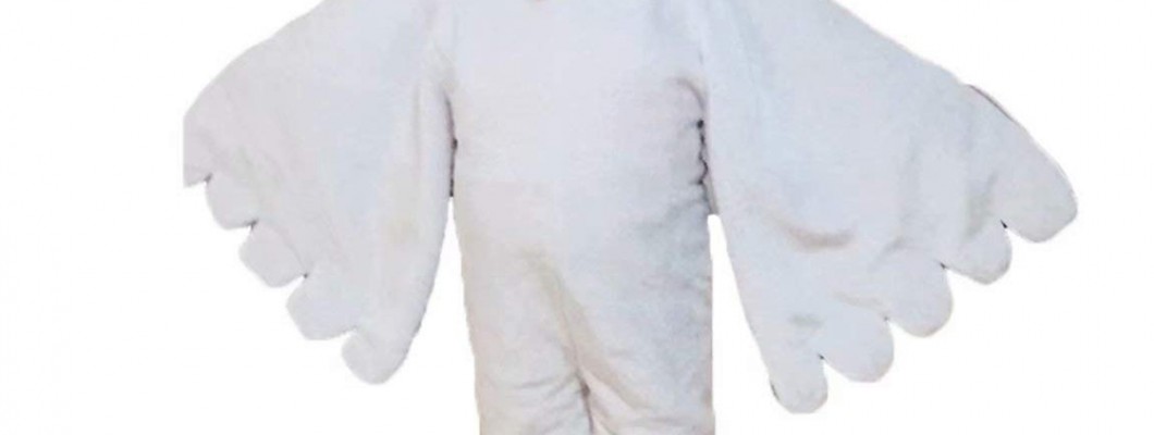 Wolf Mascot Costumes in Advertising: Effective Strategies