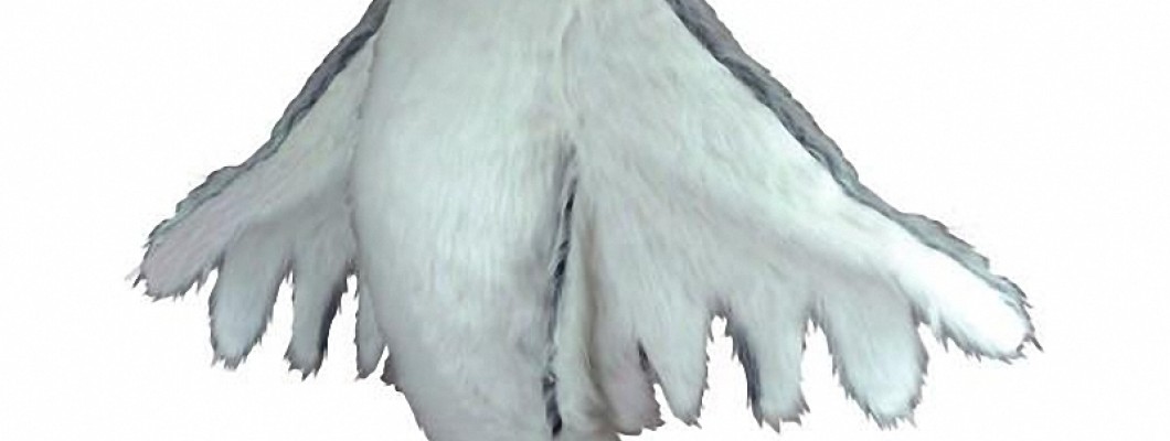 Kids' Favorite: Top Bunny Mascot Costumes for Children's Parties