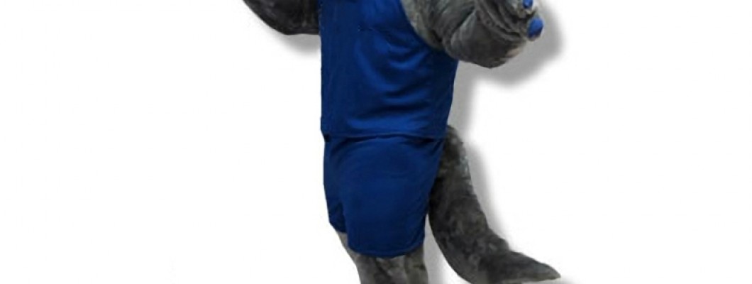 Chipmunk Mascot Costumes: A Must-Have for Animal Shelters' Fundraising Events