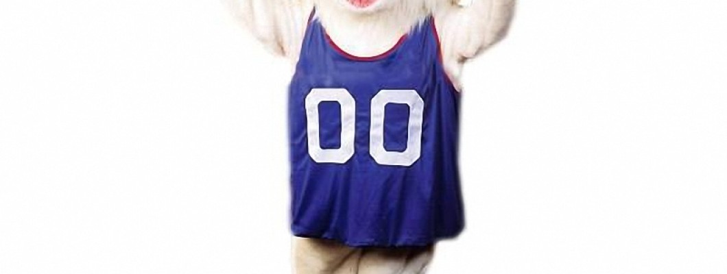Top 10 Mascot Costume Brands to Buy From