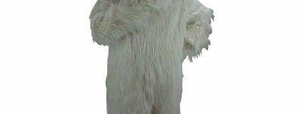 Breaking Barriers: Fish Mascot Costumes as Ambassadors for Marine Conservation