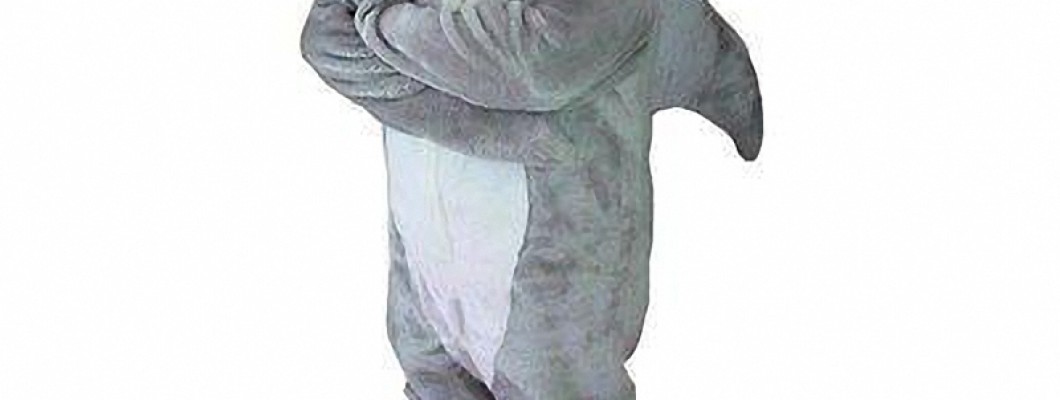 Creating a Lasting Memorable Impression With a Chicken Mascot Costume