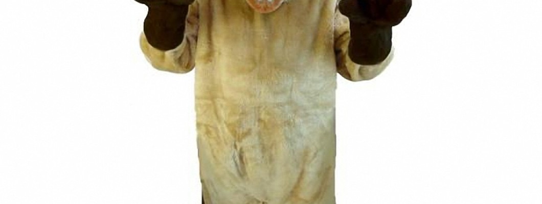 Kid-Friendly Pig Mascot Costumes for School Events