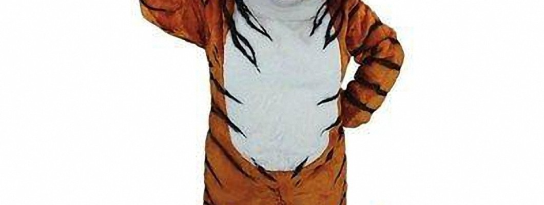 Behind the Scenes: The Making of a Professional Raccoon Mascot Costume