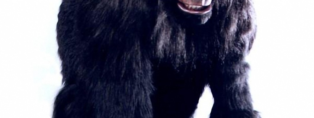 Custom vs. Premade: Finding the Perfect Fish Mascot Costume for Your Needs