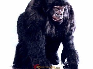 Custom vs. Premade: Finding the Perfect Fish Mascot Costume for Your Needs