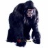 Simian Gorilla Mascot Costume Cosplay