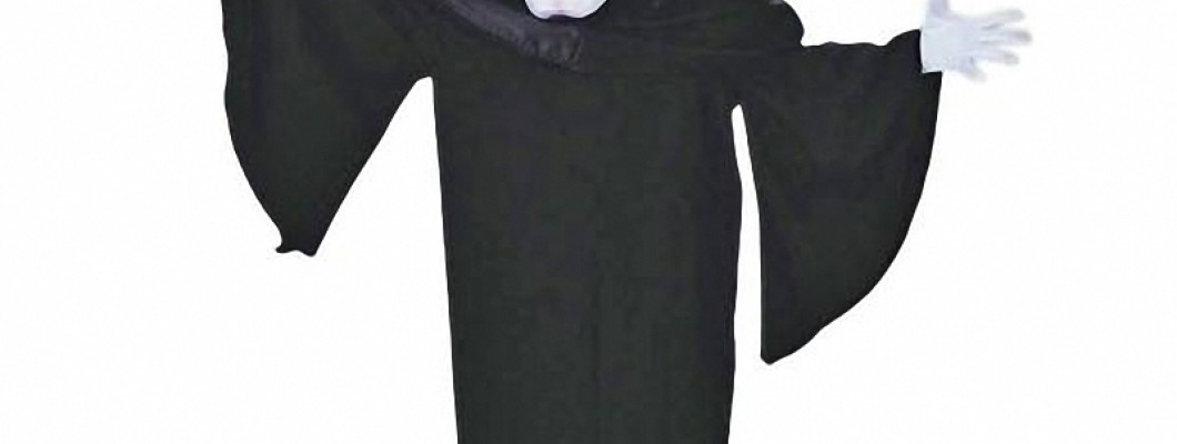 Creative Ways to Use Lion Mascot Costumes at School Spirit Events