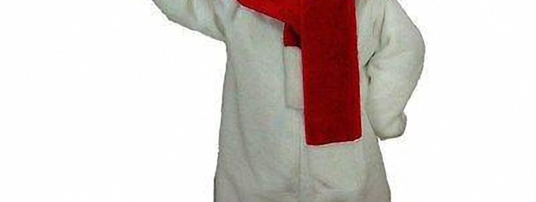 Where to Buy the Best Duck Mascot Costumes Online