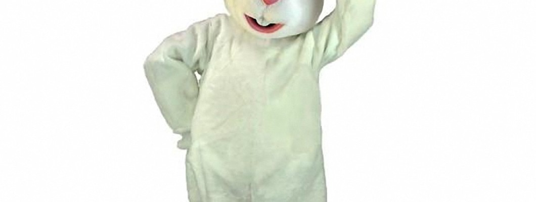 How to Clean and Maintain Your Mascot Costume Investment