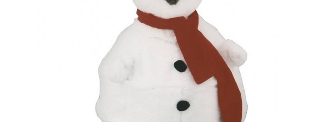 Choosing the Perfect School Mascot Costumes: Tips for Success