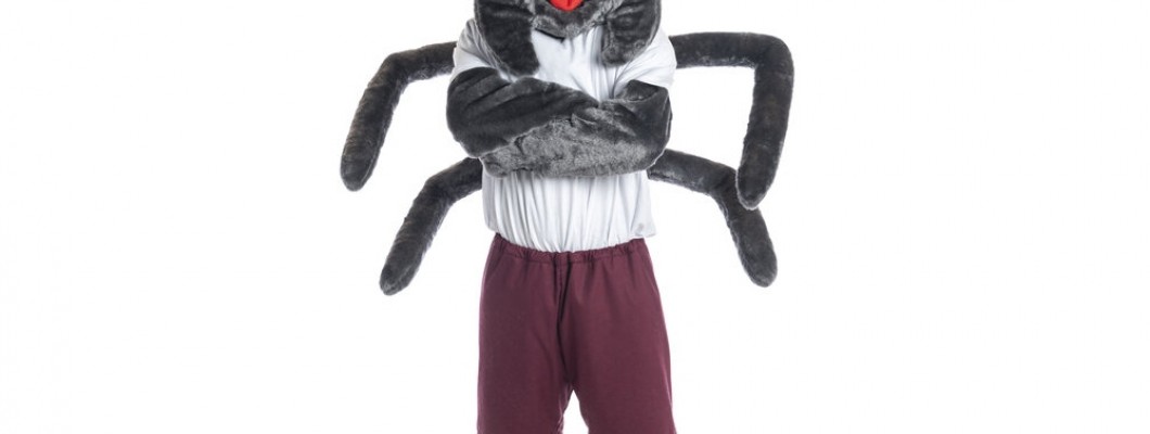 Cat Mascot Costumes in Music Videos: Enhancing Visual Appeal