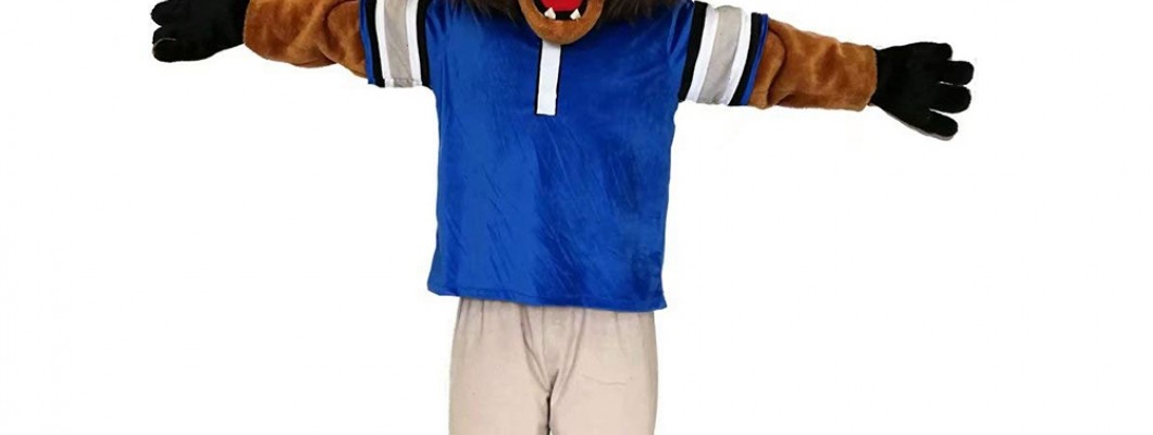 How Virtual Reality is Changing the Experience of Wearing Bear Mascot Costumes