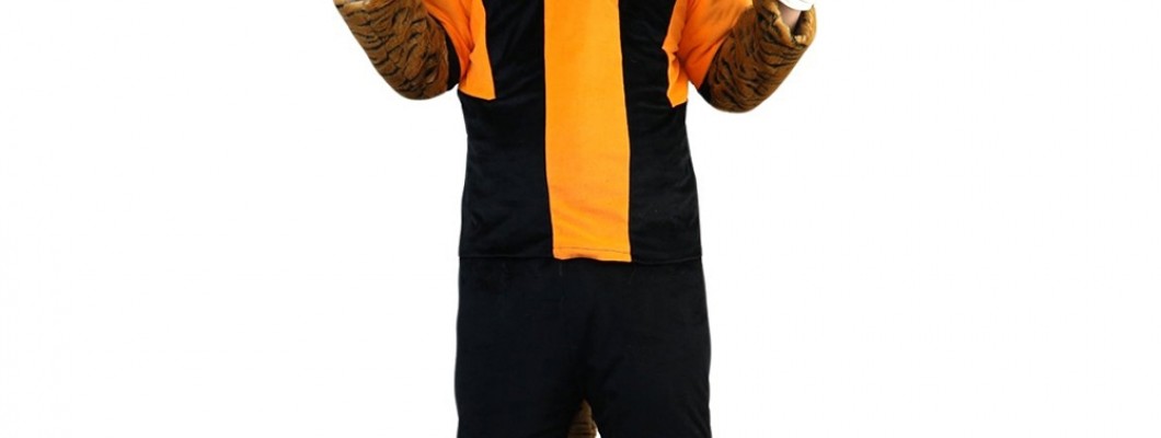 The Role of Tiger Mascot Costumes in Children's Parties