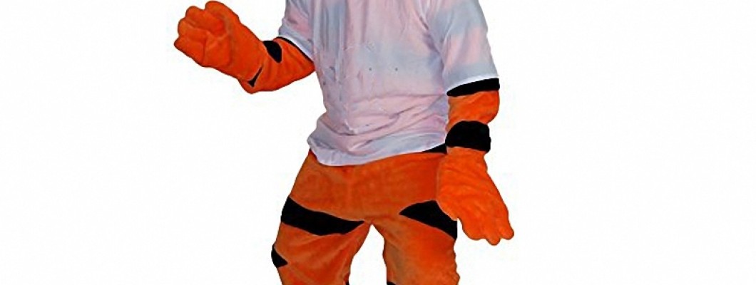 The Role of Monkey Mascot Costumes in Children's Birthday Parties