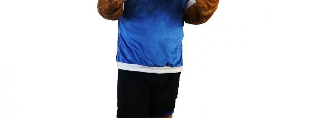 How Music and Sound Effects Enhance the Experience of Wearing an Animal Mascot Costume