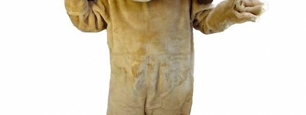 Weather-Proofing Your Animal Mascot Costume: Tips and Tricks