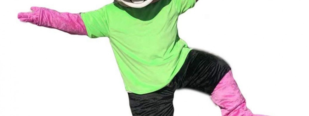 From Concept to Creation: The Journey of Crafting a Custom Raccoon Mascot Costume