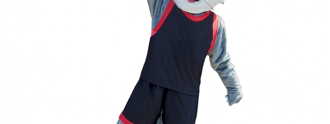 Fashion Meets Function: Stylish Elephant Mascot Costumes