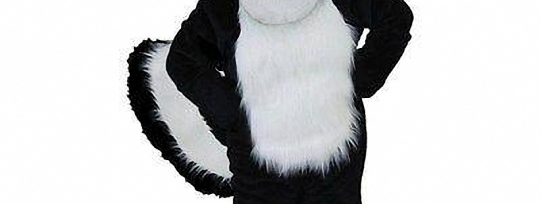 Affordable Mascot Costumes for Family Reunions