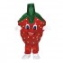 Strawberry Mascot Costume Cosplay