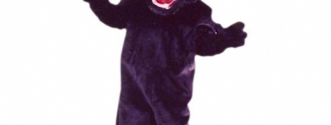 Buggy Bestsellers: Top 10 Insect Mascot Costumes This Season