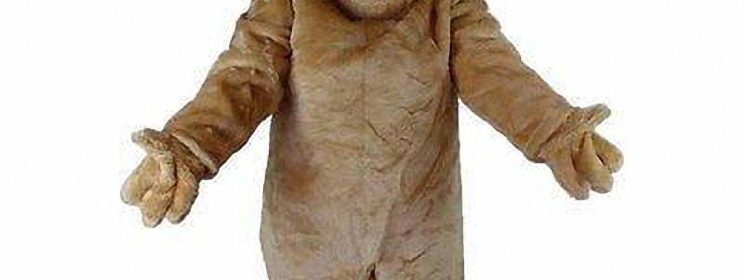 Squirrel Mascot Costume Safety Tips for All Ages