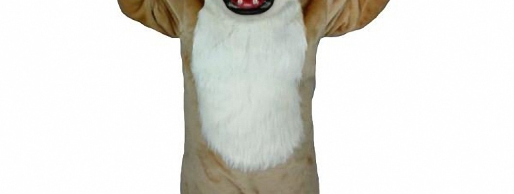 How to Act Like a Wolf Mascot: Tips from Experts