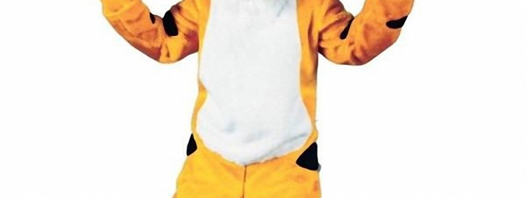 Seasonal Variations of Horse Mascot Costumes